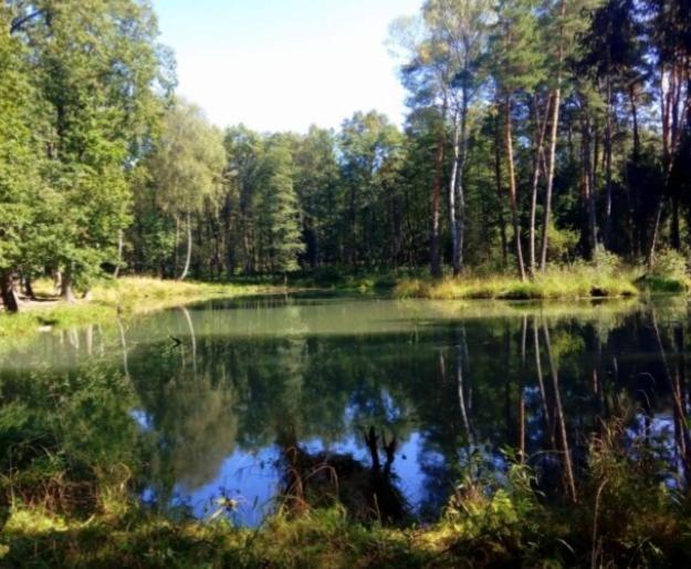 Apartament Pod Lasem Tenczynek Kültér fotó